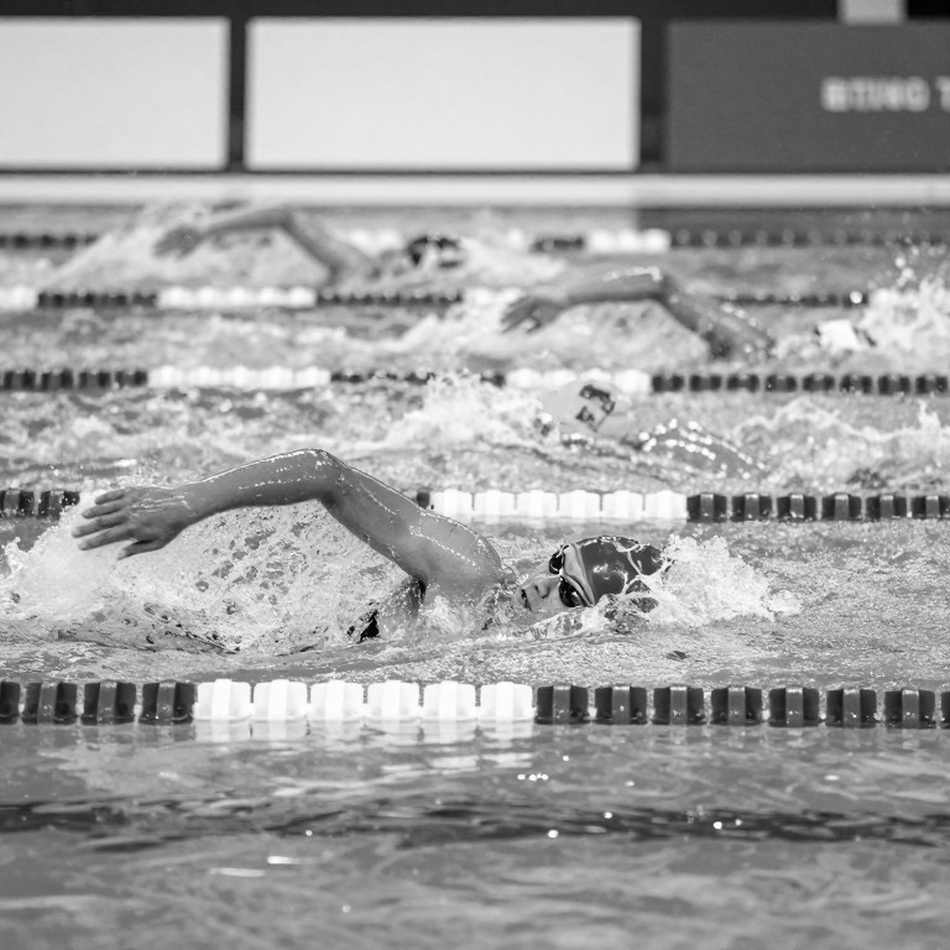 Gui Caribe phá kỷ lục José Finkel Trophy với 45.61 giây ở cự ly 100m bơi tự do ngắn cự - Điểm sáng bơi lội Brazil tại kỳ Worlds 2026