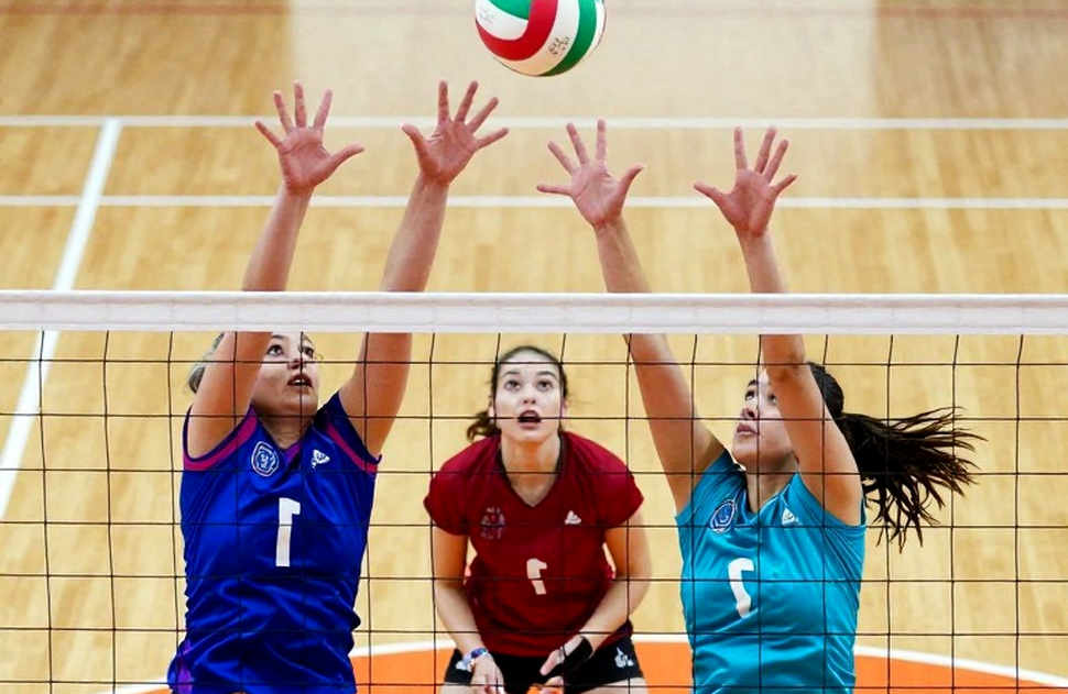 Thổ Nhĩ Kỳ 3-0 Serbia tại EuroVolley 2026: Sáu cú giao bóng ăn điểm và tấm vé Olympic được viết bằng dữ liệu