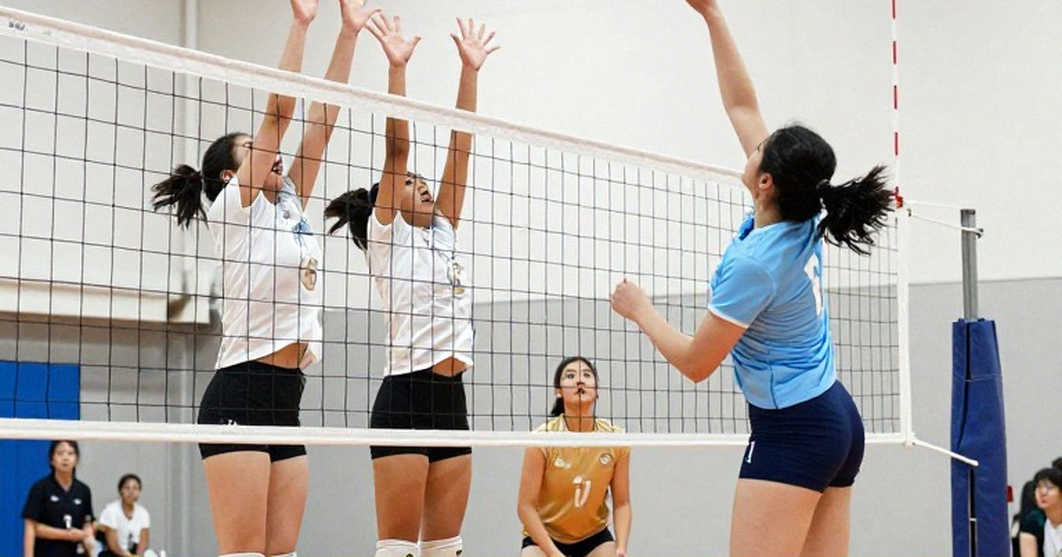 Brazil thống trị Nam Mỹ, giành vé Olympic bóng chuyền nữ: Ánh hào quang và những khoảng trống chưa lấp đầy