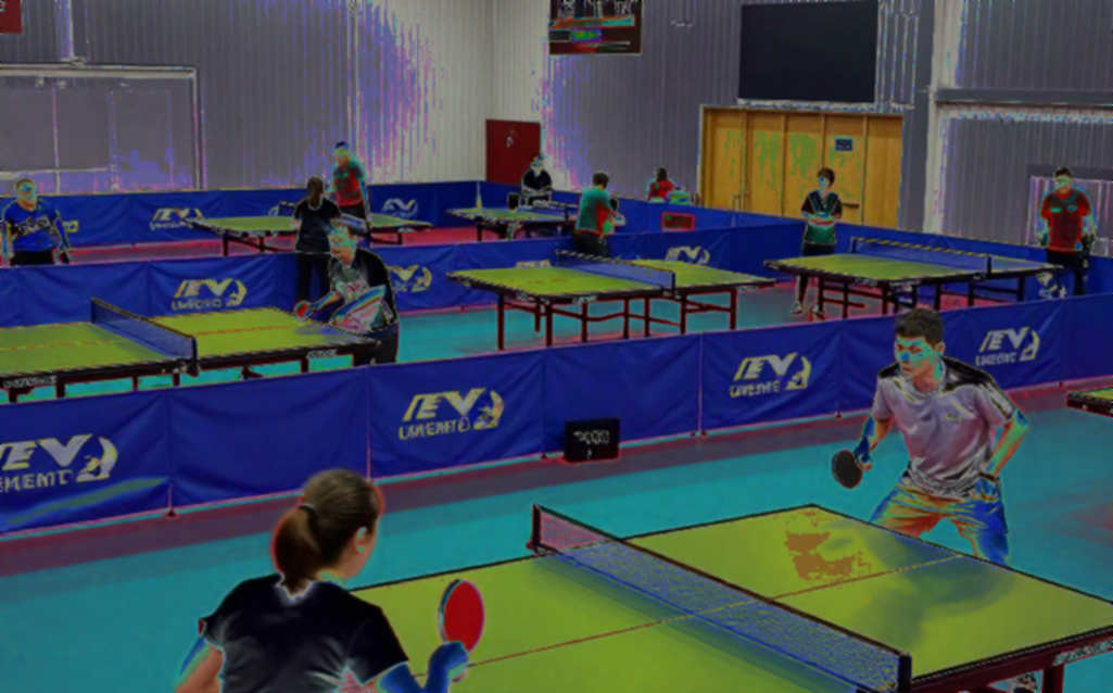 Second PingPongParkinson French Open: Two English Silver Medals and the Variable Removed From the Equation